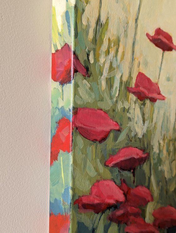 Poppies and Sunshine