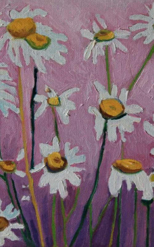 Daisies by Emma Cownie