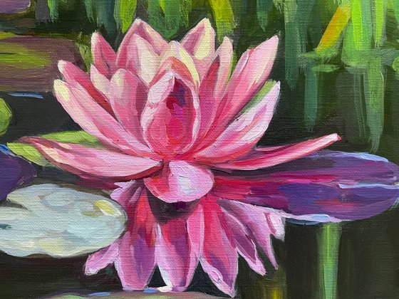Colorful pond Water lilies 72.7 cm/50 cm