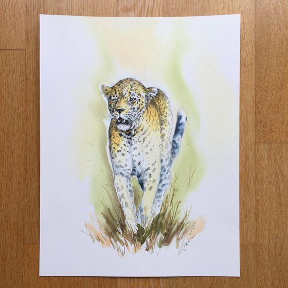 Wildlife artwork - Jaguar walking
