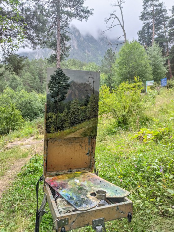 Rain In The Mountains