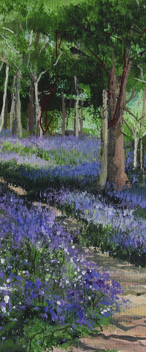 Bluebell Woods by Valerie Jobes