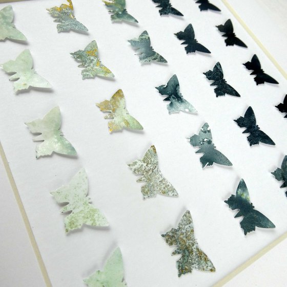 25 Grey butterflies