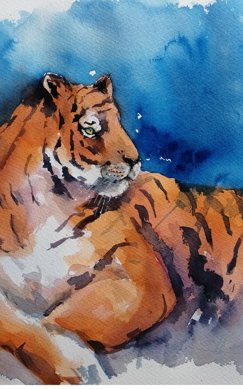 tiger 7 by Giorgio Gosti