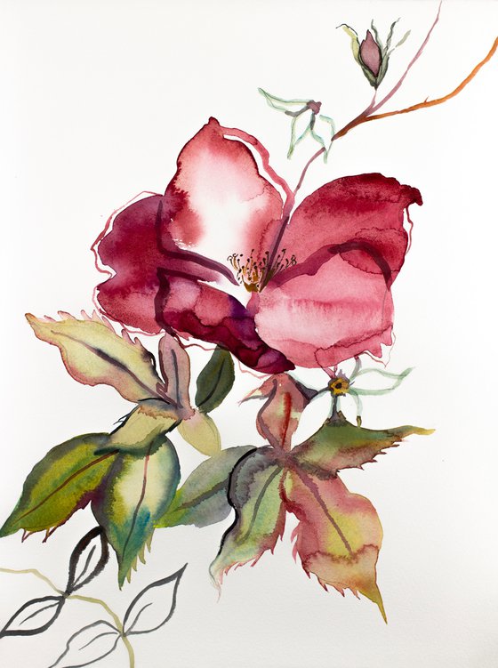 Rose Study No. 61