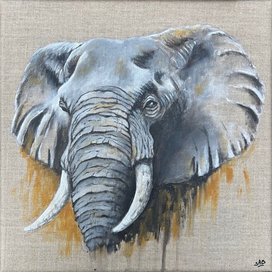 Elephant Grey #1