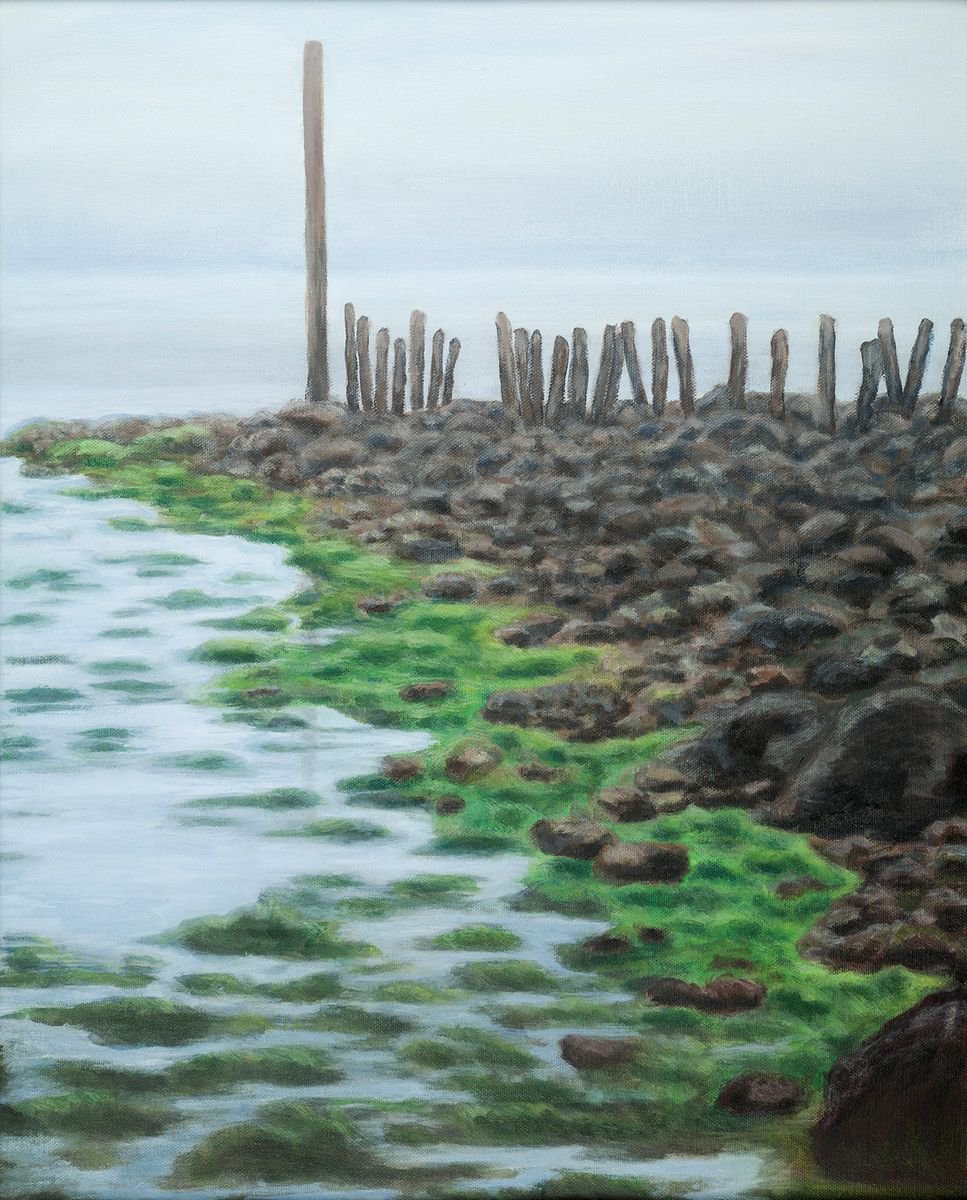 Low tide by Diana Sandetskaya