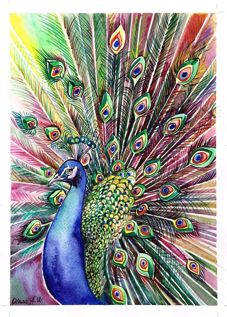 Peacock by Diana Aleksanian