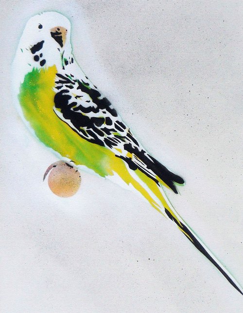 Grandma's other budgie (on canvas). by Juan Sly
