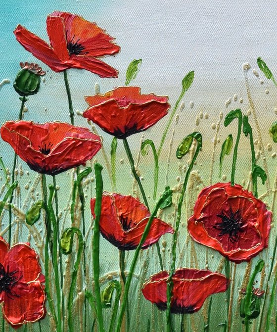 Red Poppy Flowers