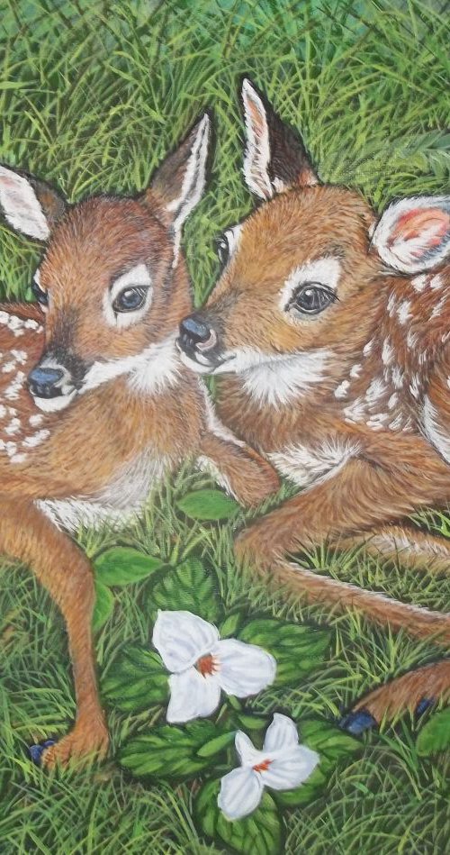White tailed Fawns by Sofya Mikeworth