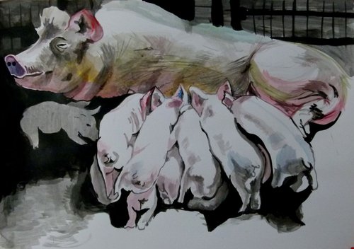pigs by Soso Kumsiashvili
