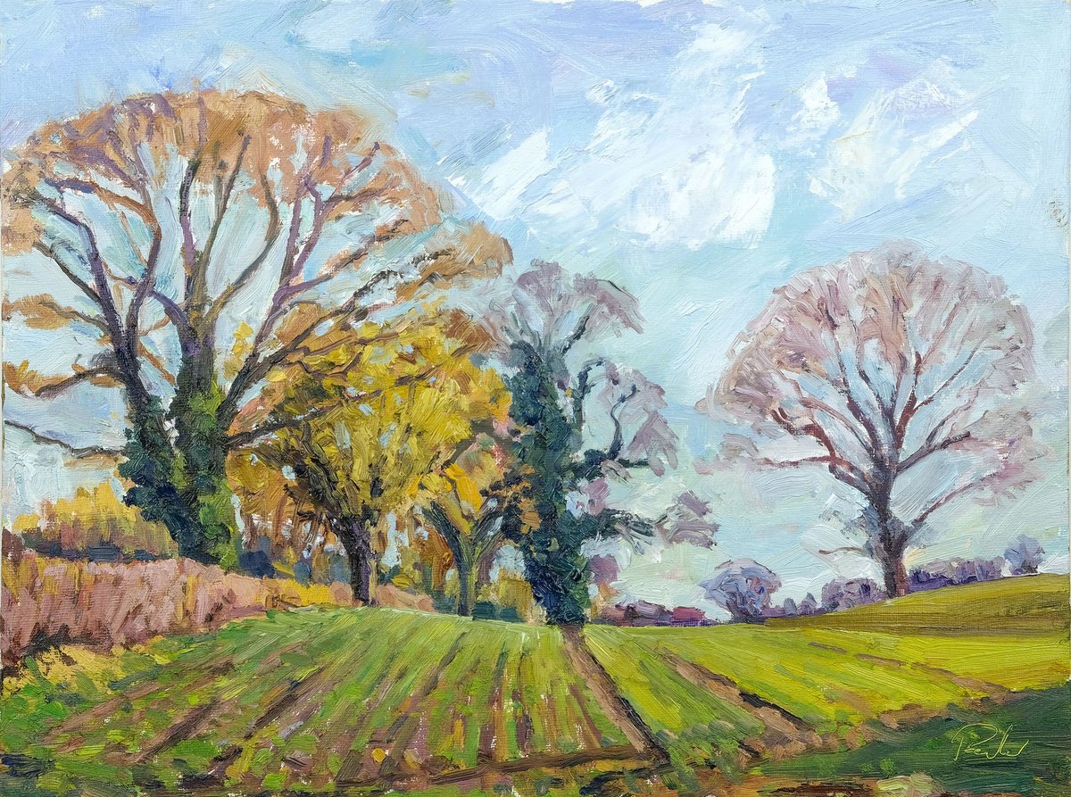Expressive Landscape Oil Painting By Jeff Parker, 16 X 12, January Fields, Terrington, Original Artwork