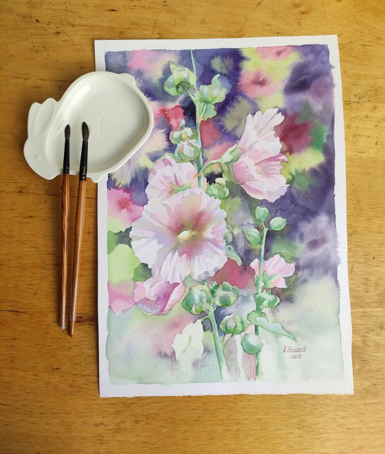 Ukrainian watercolor. White mallow. Stolen spring