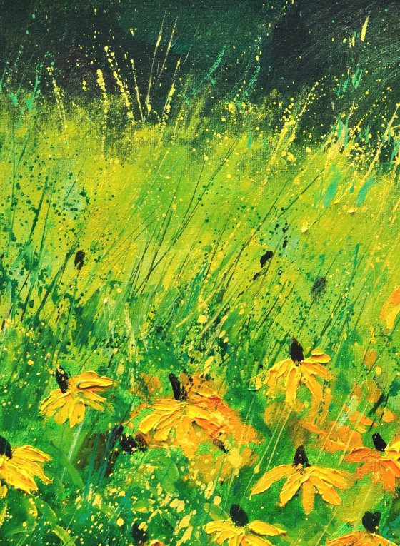 Yellow rudbeckias -6723