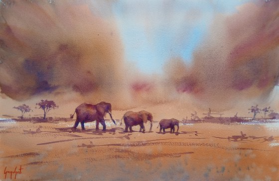 elephant 28