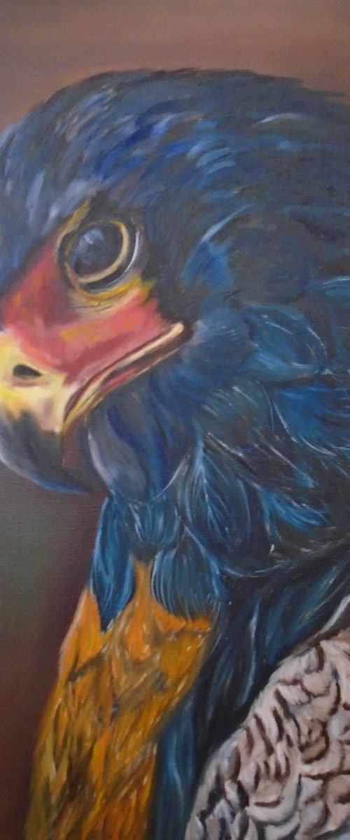 Eagle by Timea  Valsami