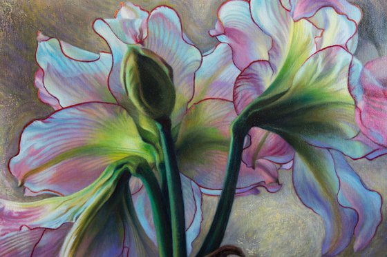 Pink Amaryllis Triptych