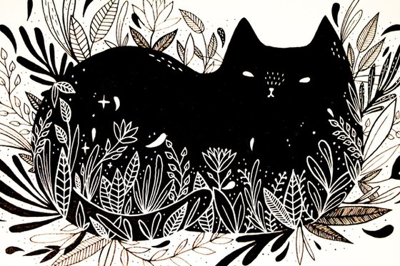 Dark cats