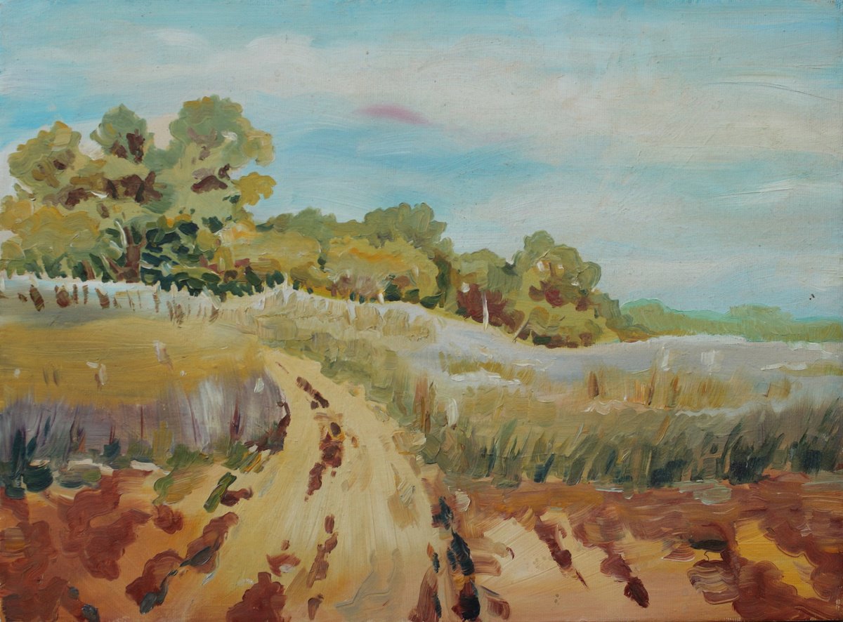 Photorealistic Oil Painting , The Road To The Field By Yurii Pashkov, 16 X 12, Artwork For Sale On Artfinder