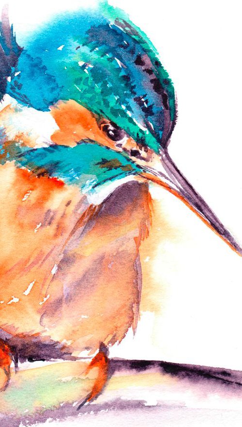 Kingfisher by Anjana Cawdell