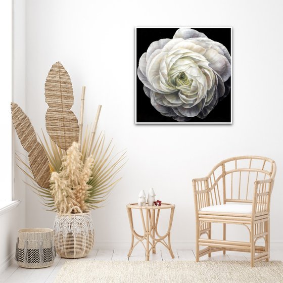 Ranunculus - print, original gift, White flower