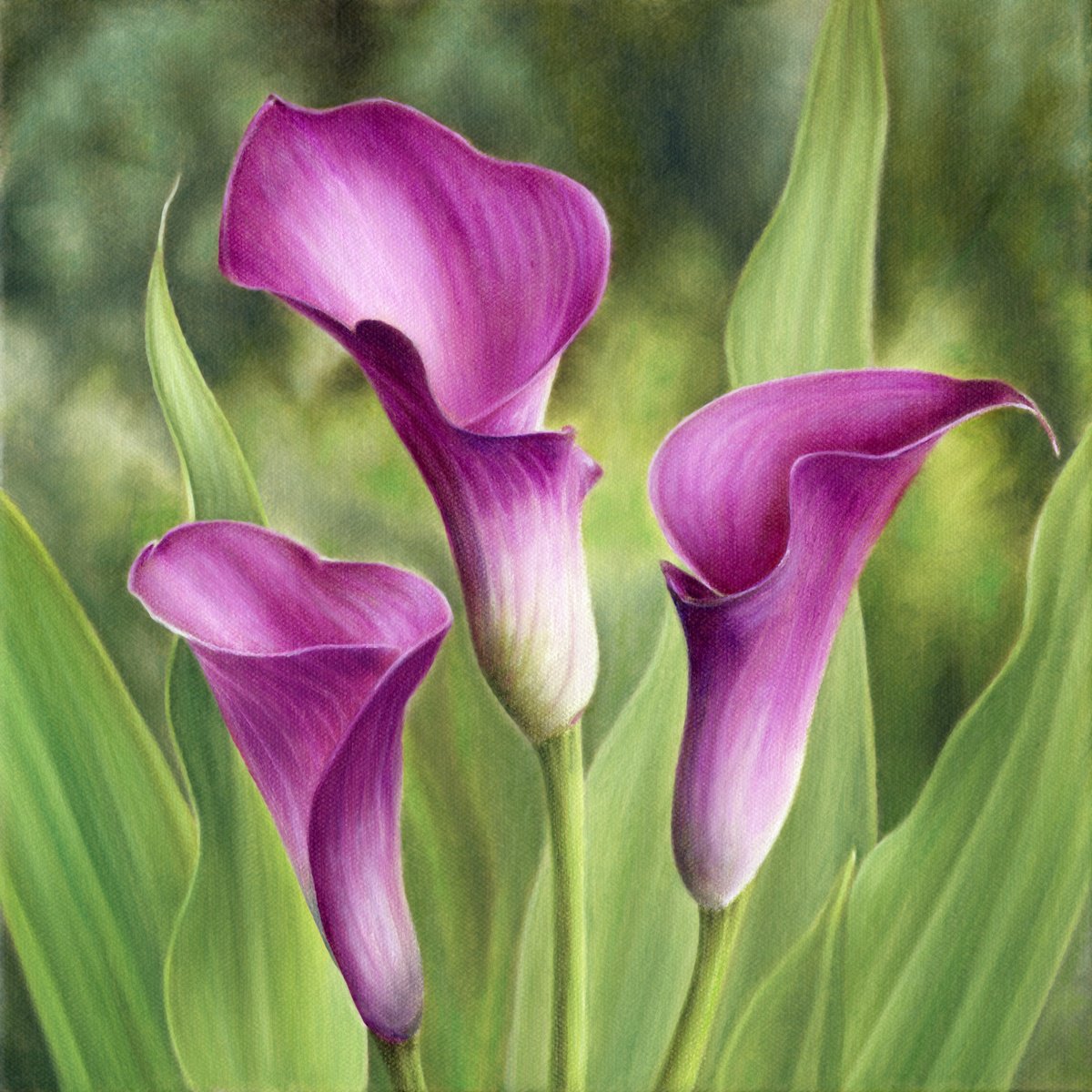 Calla Lilies by Marlene Llanes