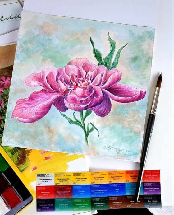 Watercolor peony - a cozy painting - botanical bright accents with bright purple-red flower
