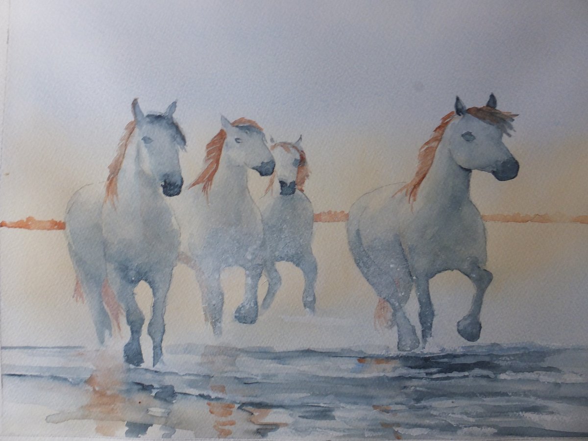 Impressionistic Animal Watercolour By David Harmer, 20 X 16, Running Through The Surf, Original Artwork