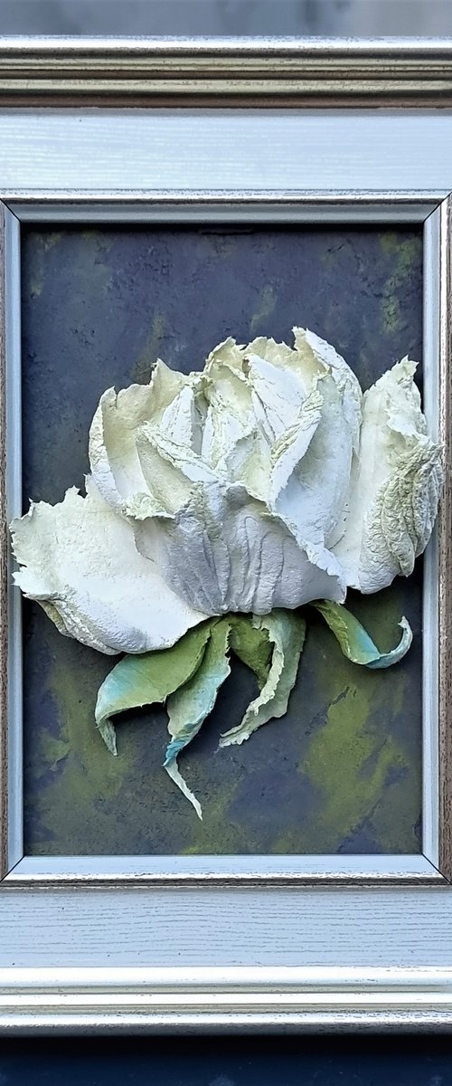 Relief painting with white-green rose on a dark backgroud. Framed. The Rose Portrait. 16x21x5cm by Irina Stepanova