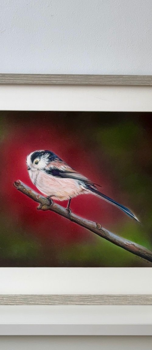 Long tail Tit Mixed Media Painting by Irsa Ervin