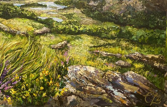 Ladies View, Killarney