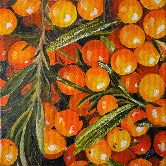 Chromatic Wonders — Orange