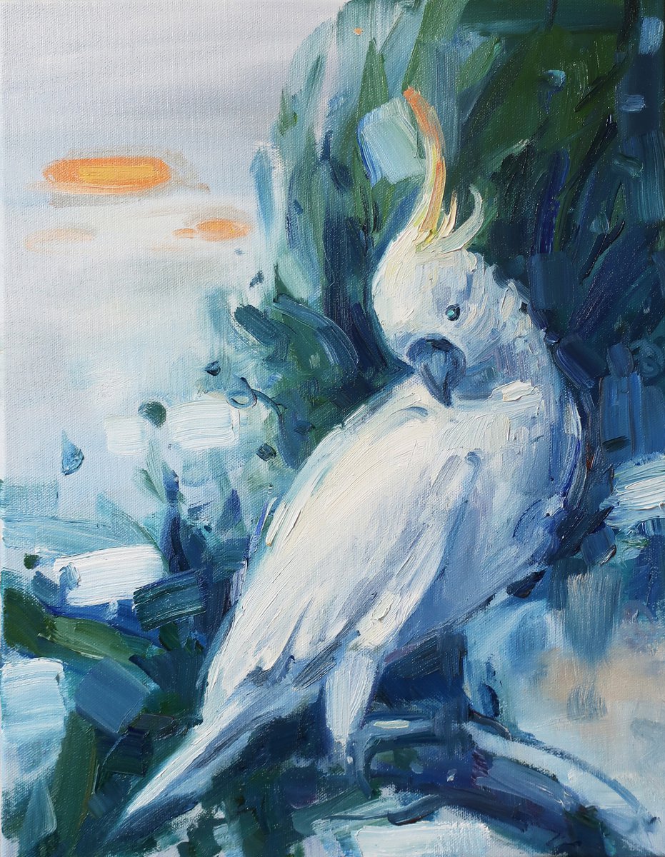Bird White parrot Oil painting by Anna Shchapova