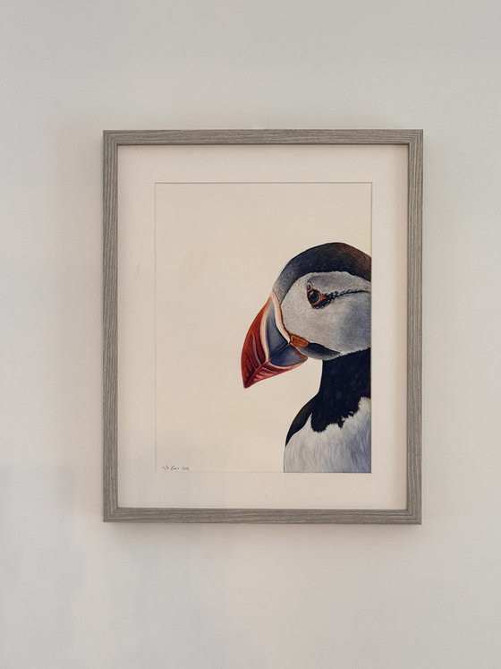 Atlantic Watcher Puffin Watercolour Painting