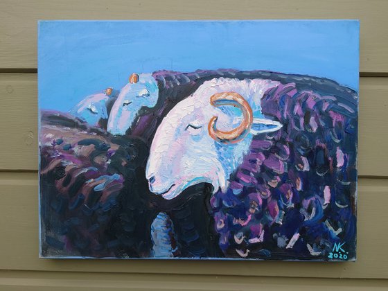 Pastoral Devotion