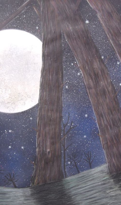 The Night Sky by Ruth Searle