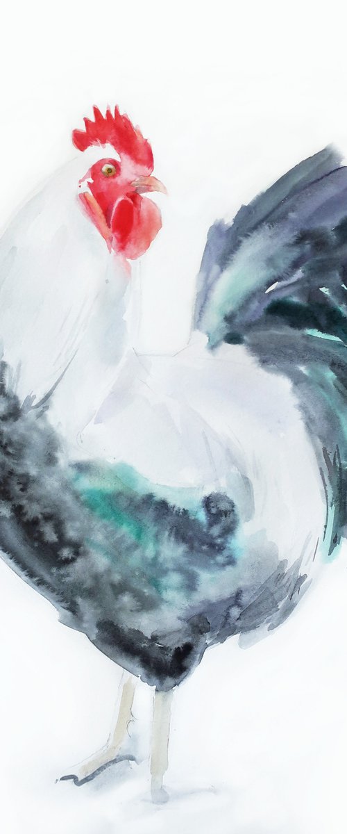 BIRD COCK by Anna Shchapova