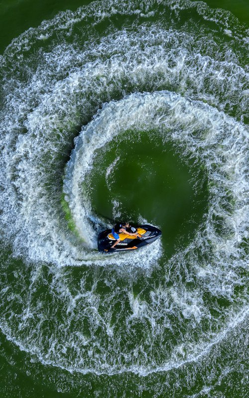 Water Flower by Barbara and Maciej Noskowski