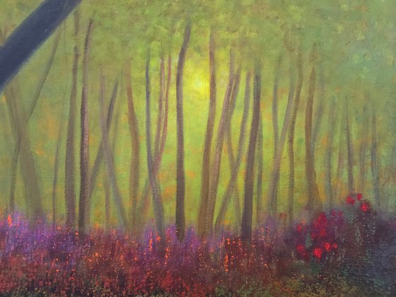 Delight in Stillness