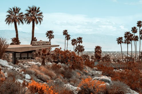 Cover image for Americana collection