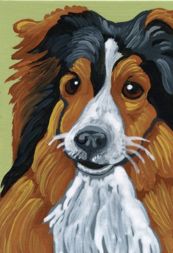 ACEO ATC Original Miniature Painting Sheltie Shetland Sheepdog  Pet Dog Art-Carla Smale