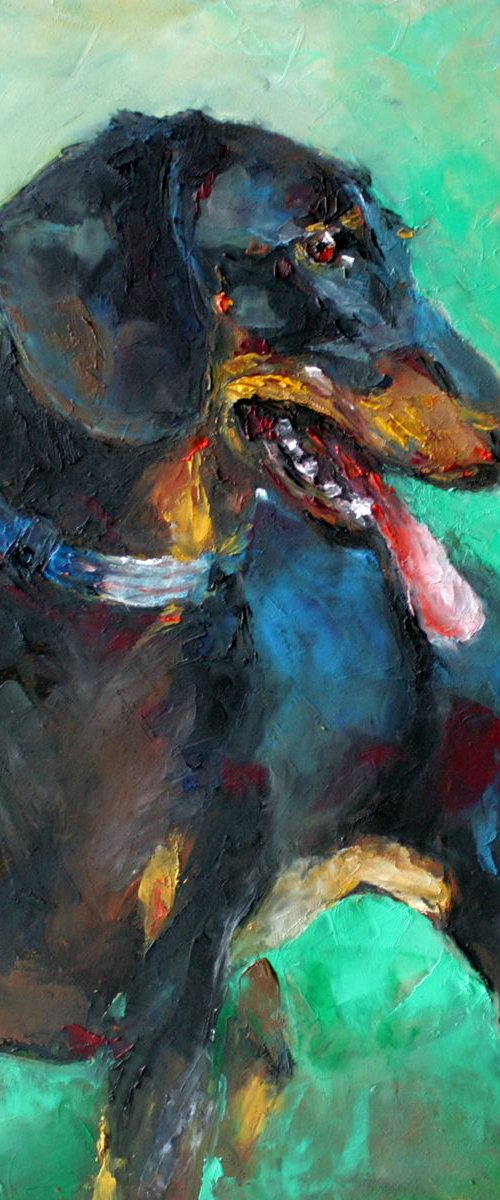 dachshund portrait in small format by Olga David