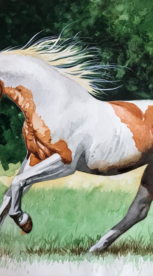 Painting "Horse" for modern interior by Kakajan Charyyev
