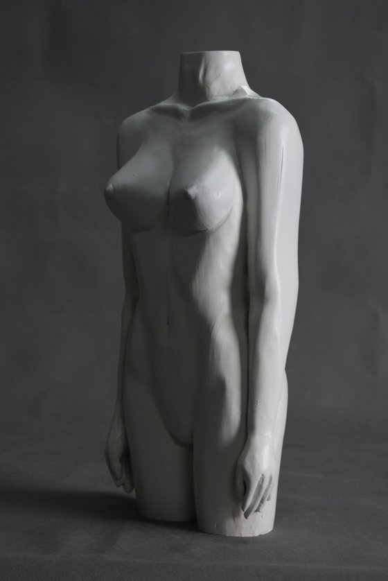 Female Torso