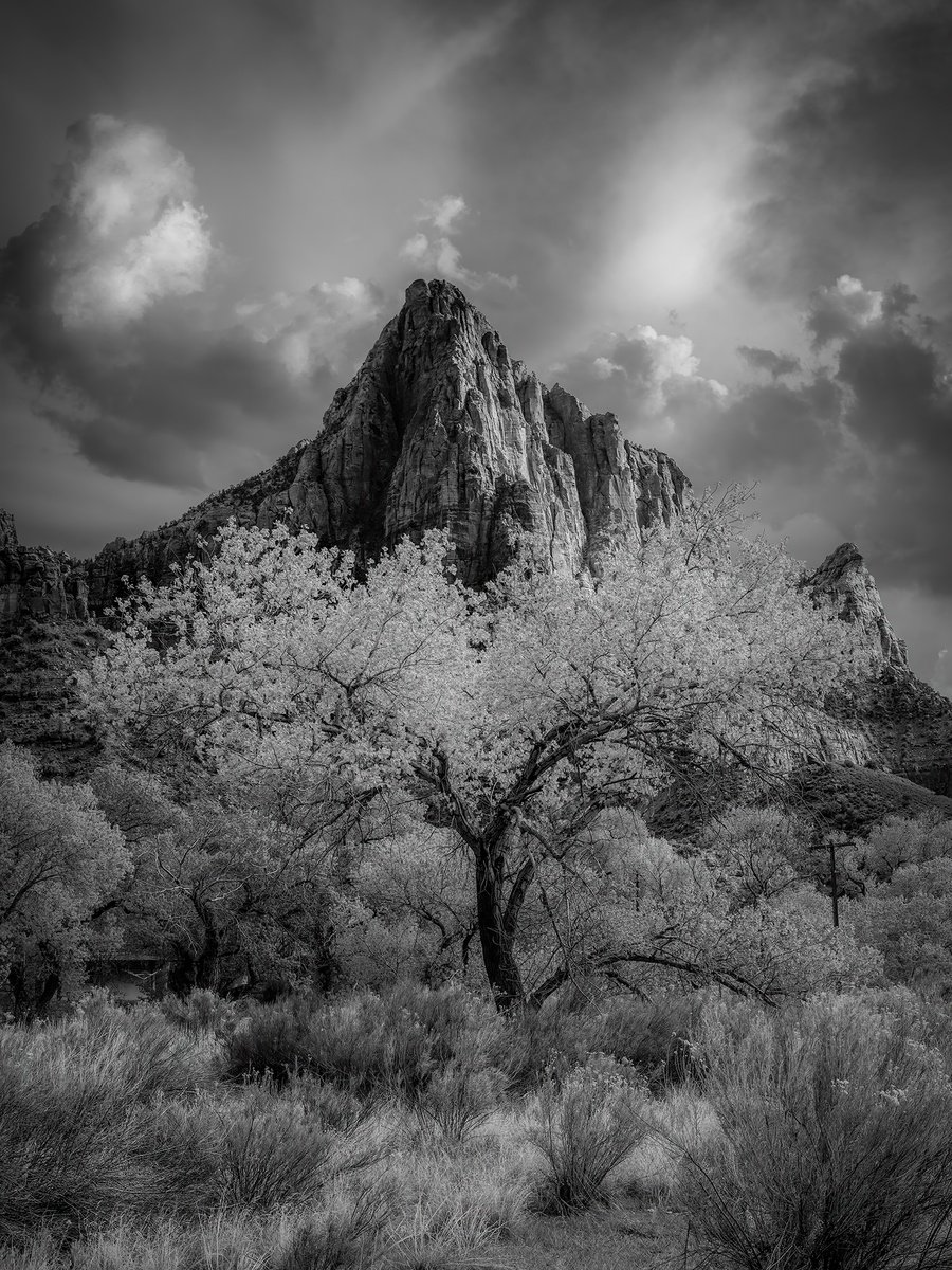 Photorealistic Landscape Photograph By Nick Psomiadis, 35 X 47", Watchman - Zion National Park, Original Artwork
