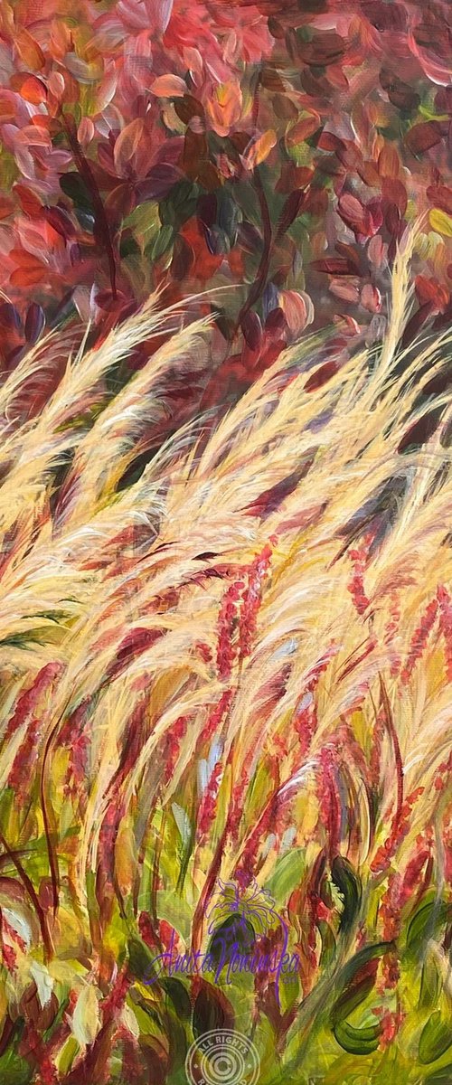 Candour- Autumn Grasses by Anita Nowinska