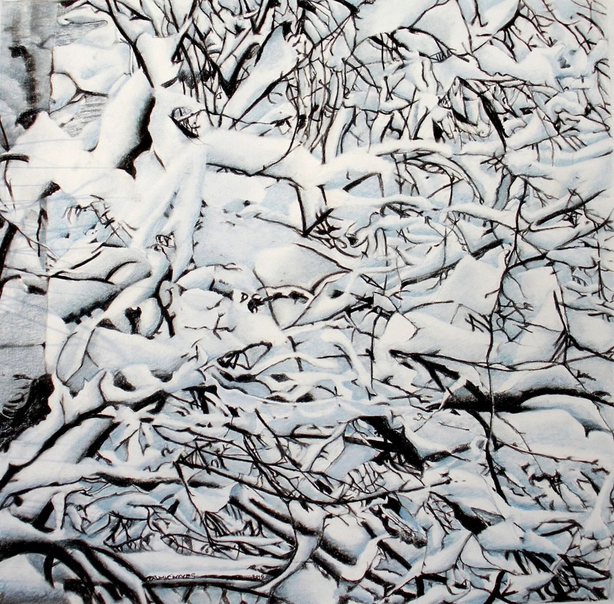 Photorealistic Botanical Charcoal Drawing By Nives Palmic, 21 X 21", Snowy Branches, Original Artwork