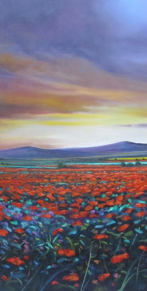 Sunset Poppy field. by Jonathan Shepherd