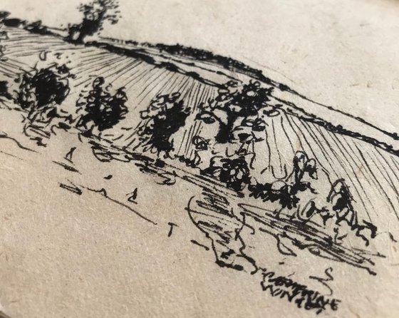 Landscape Ink Drawing - Norfolk